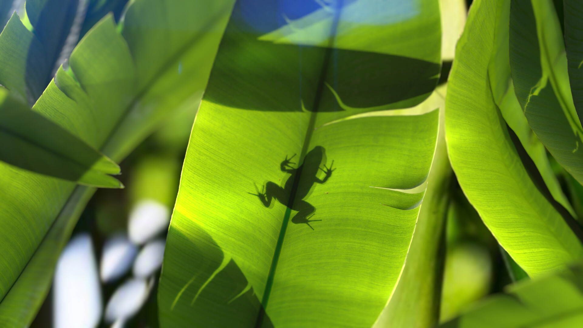 3D printed DnD figure